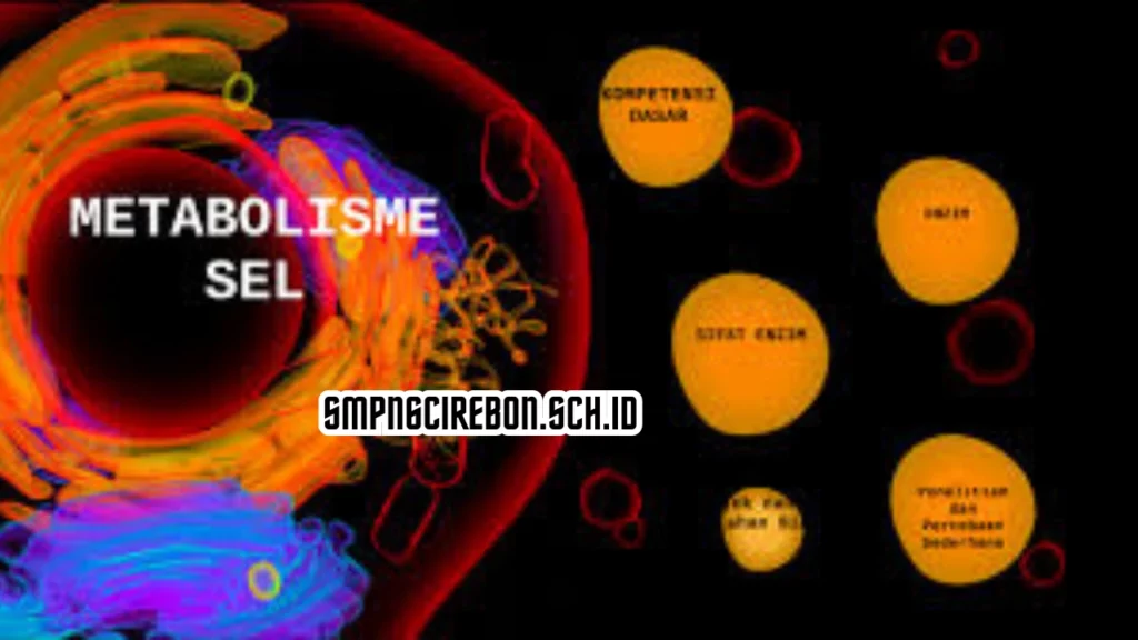 Proses-Metabolisme-Sel