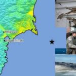 Gempa Rusia, Kamchatka Tak Tidur! Peringatan Dini Hari dari Perut Cincin Api