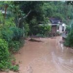 Cuaca Ekstrem di Kediri Terbangkan Atap Rumah dan Tumbangkan Pohon Raksasa