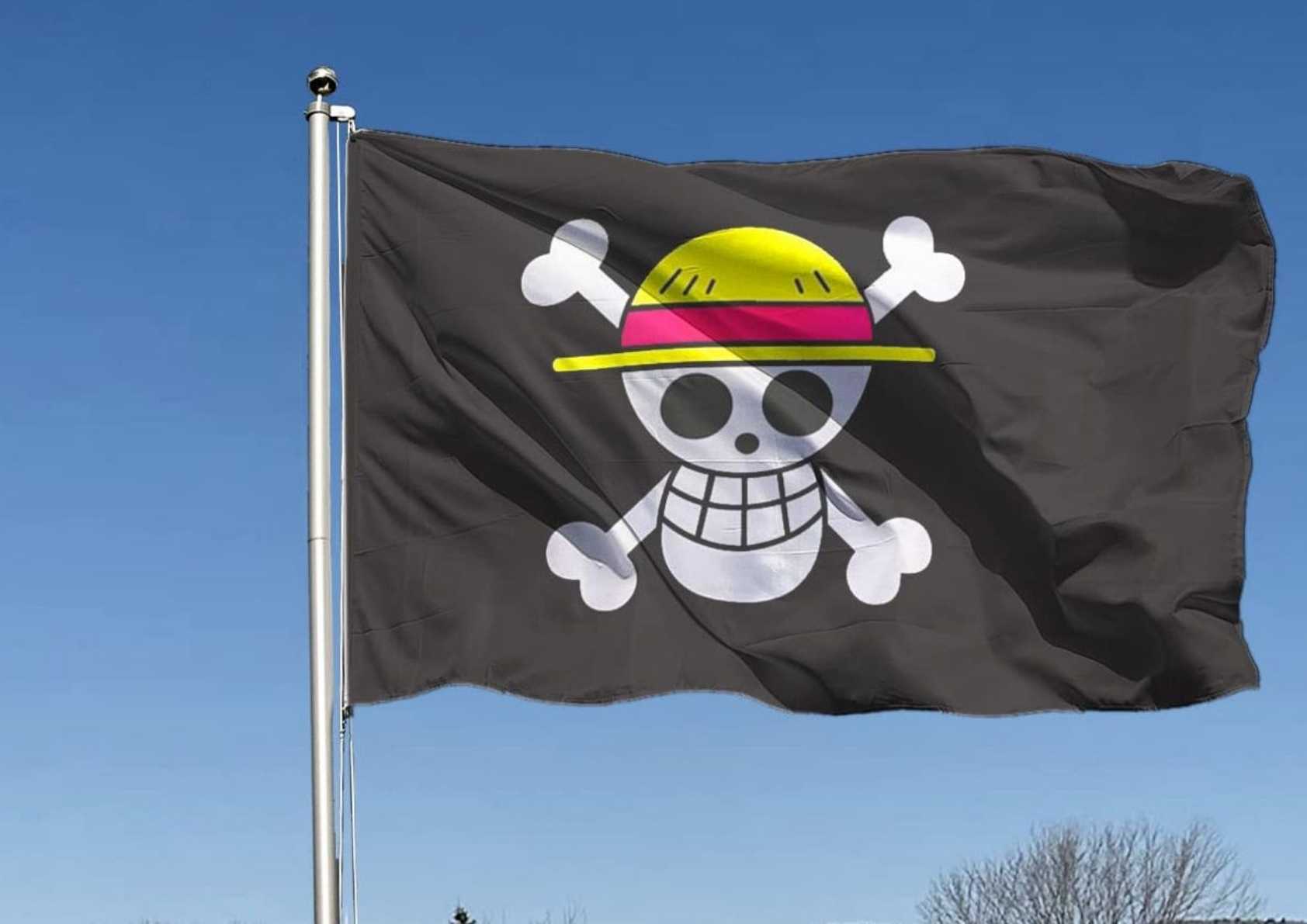 razia bendera One Piece